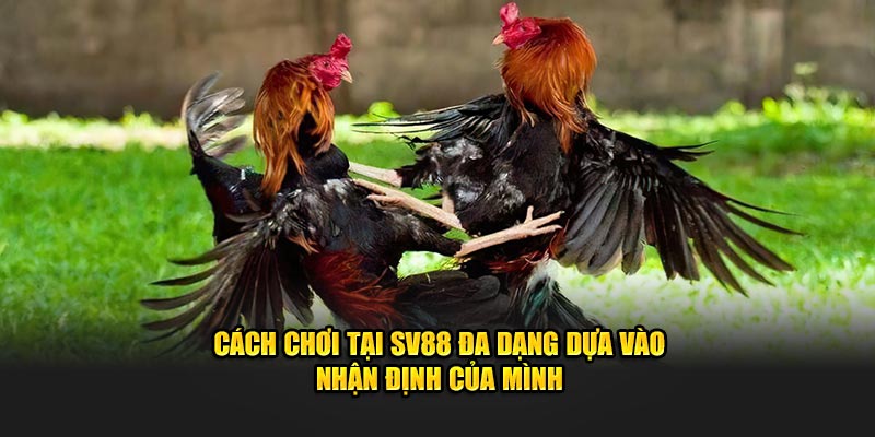 Cách chơi tại SV88 đa dạng dựa vào nhận định của mình 