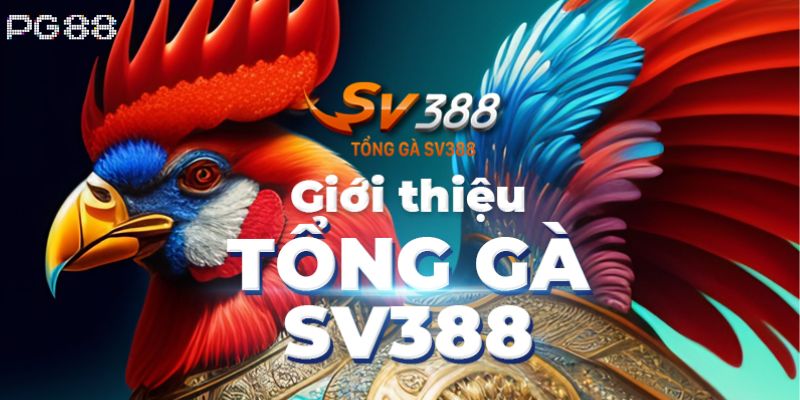 Giới thiệu đôi nét về đá gà SV388