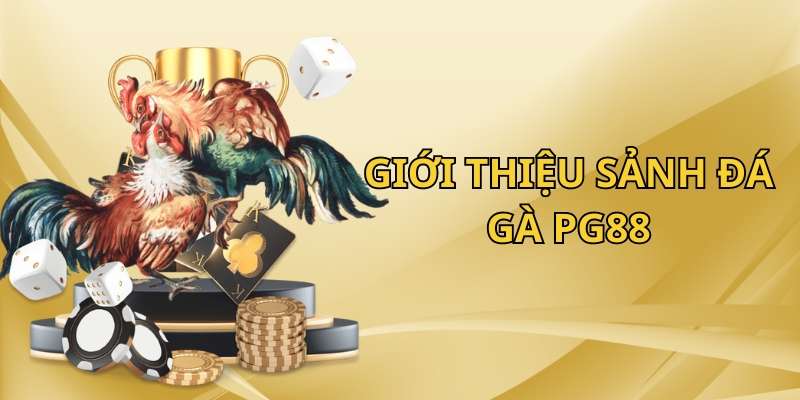 Giới thiệu về sảnh đá gà PG88