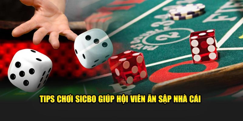 Tips chơi Sicbo giúp hội viên ăn sập nhà cái